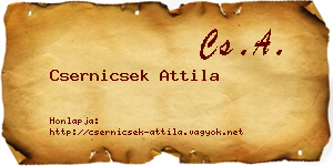 Csernicsek Attila névjegykártya