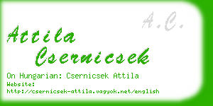 attila csernicsek business card
